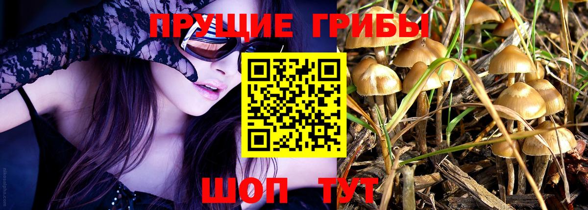 Галлюциногенные грибы Cubensis Дальнереченск